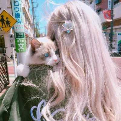 星空线上官网下载手机版