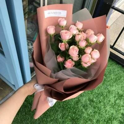 一肖三码手机app下载截图