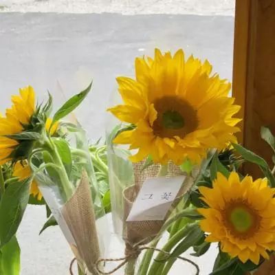 新版江南app登录